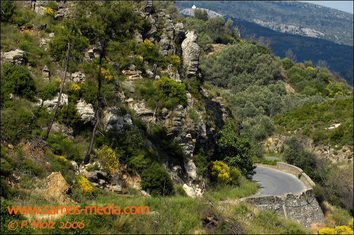 samos_taverne_aedw_t_1b5943.jpg