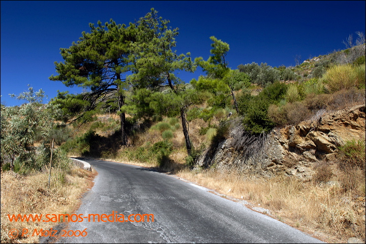 samos_taverne_aedw_t_1b5944.jpg