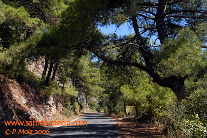 samos_taverne_aedw_t_1b5966.jpg