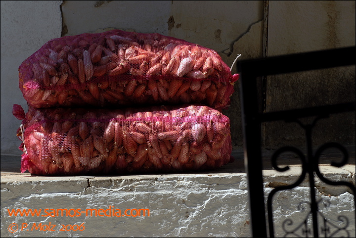 samos_taverne_aedw_t_1b5982.jpg