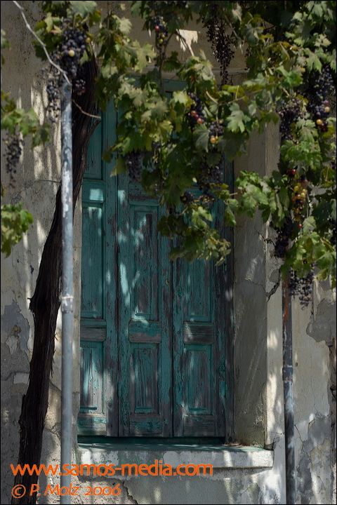 samos_taverne_aedw_t_1b5989.jpg