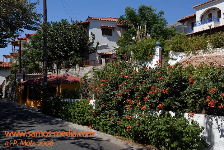 samos_taverne_aedw_t_1b599d.jpg