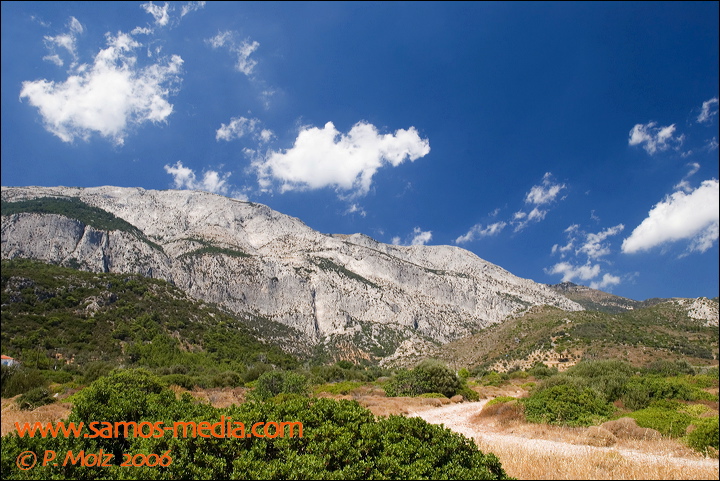 samos_taverne_aedw_t_1b59ae.jpg