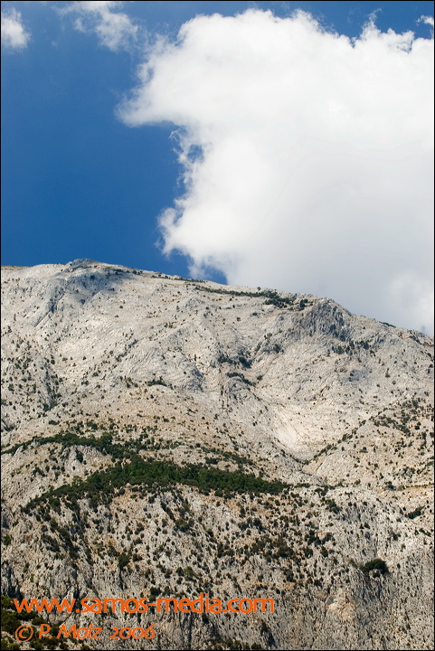 samos_taverne_aedw_t_1b59af.jpg