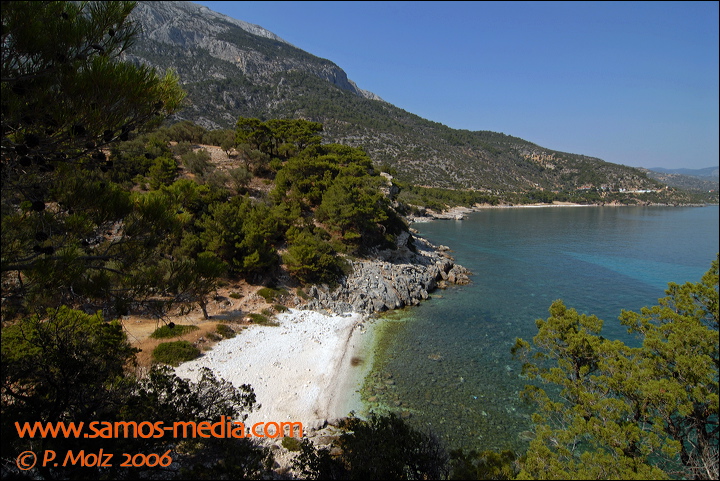 samos_taverne_aedw_t_1b59bf.jpg