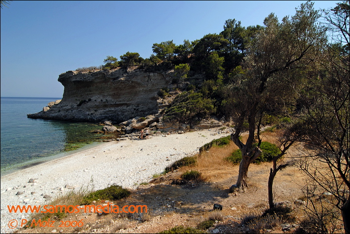 samos_taverne_aedw_t_1b59c1.jpg