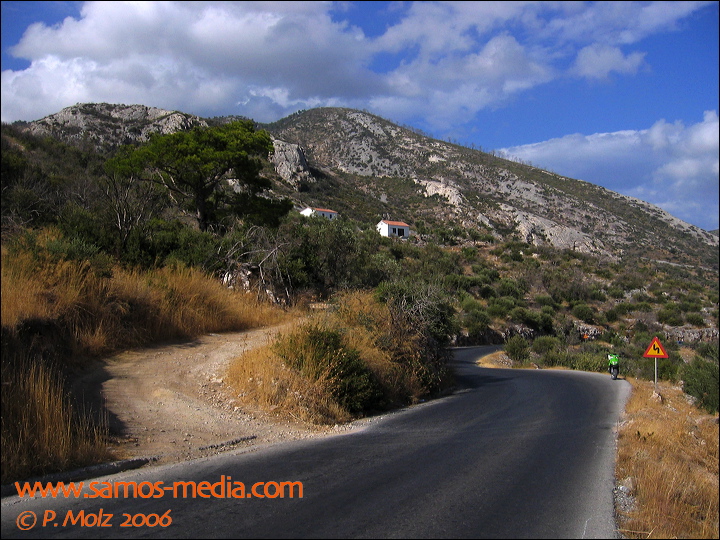 samos_taverne_aedw_t_1b6010.jpg