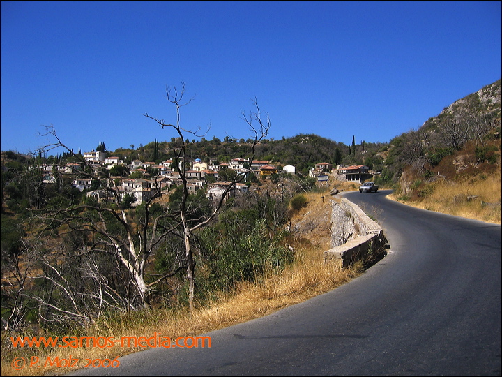 samos_taverne_aedw_t_1b6011.jpg