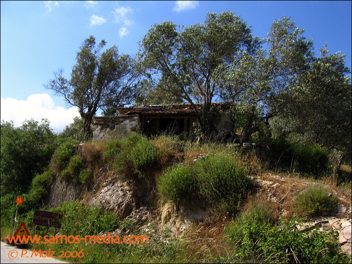 samos_taverne_aedw_t_1b6016.jpg