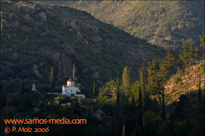 samos_taverne_aedw_t_1b6022.jpg