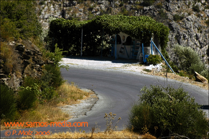 samos_taverne_aedw_t_1b6024.jpg