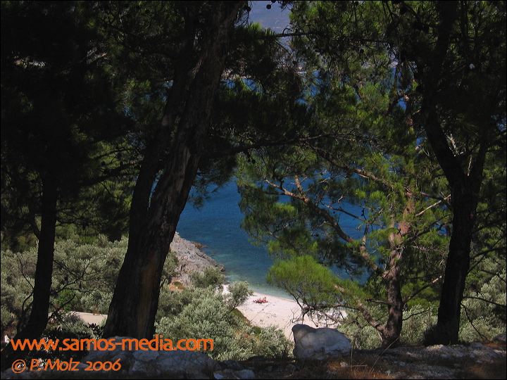 samos_taverne_aedw_t_1b6044.jpg