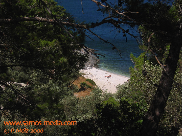 samos_taverne_aedw_t_1b6045.jpg