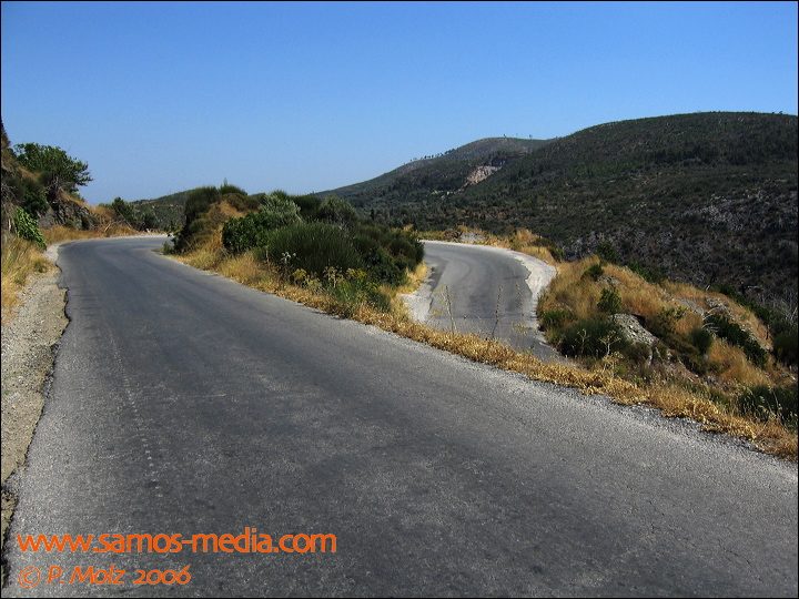 samos_taverne_aedw_t_1b7293.jpg