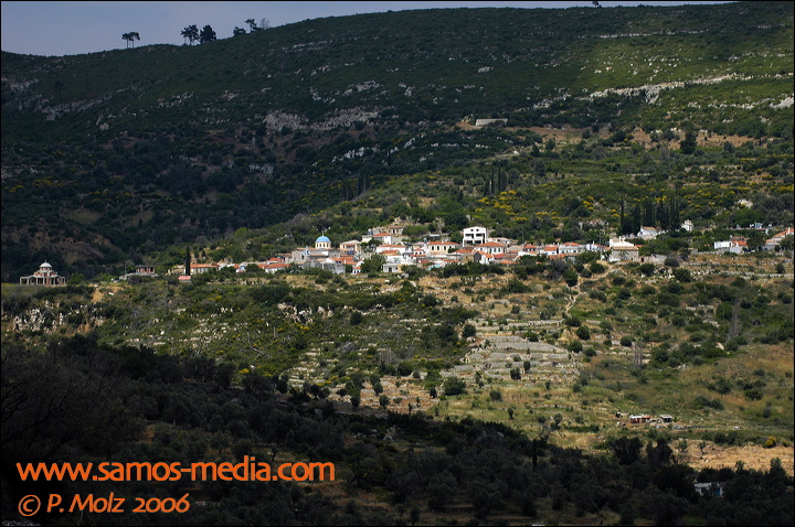 samos_taverne_aedw_t_1b7d47.jpg