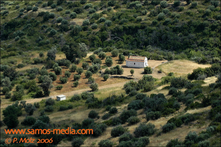 samos_taverne_aedw_t_1b7d4d.jpg