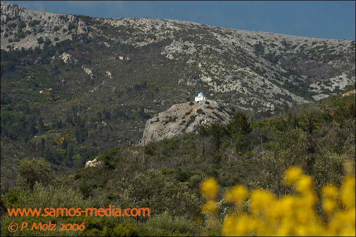 samos_taverne_aedw_t_1b7d8a.jpg
