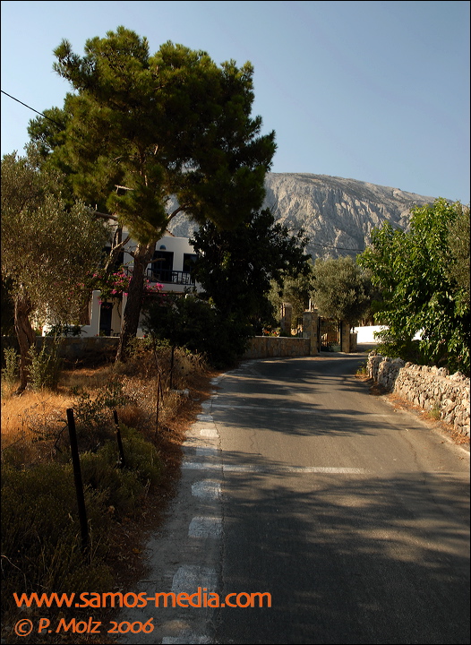 samos_taverne_aedw_t_1aff6e.jpg