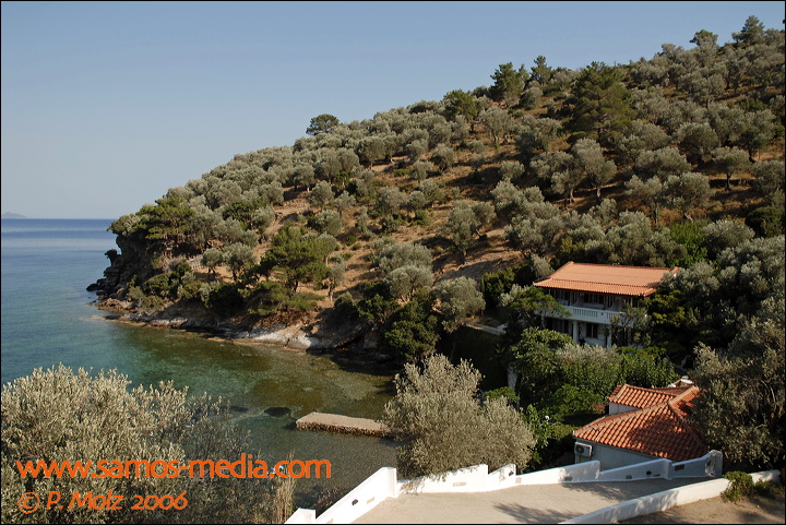 samos_taverne_aedw_t_1aff7c.jpg