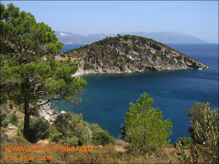 samos_taverne_aedw_t_1aff82.jpg