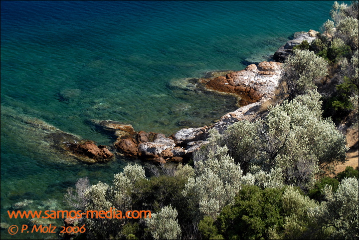 samos_taverne_aedw_t_1aff8d.jpg