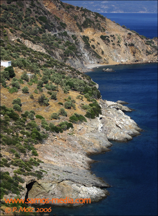 samos_taverne_aedw_t_1affb2.jpg
