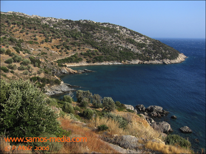 samos_taverne_aedw_t_1affb8.jpg