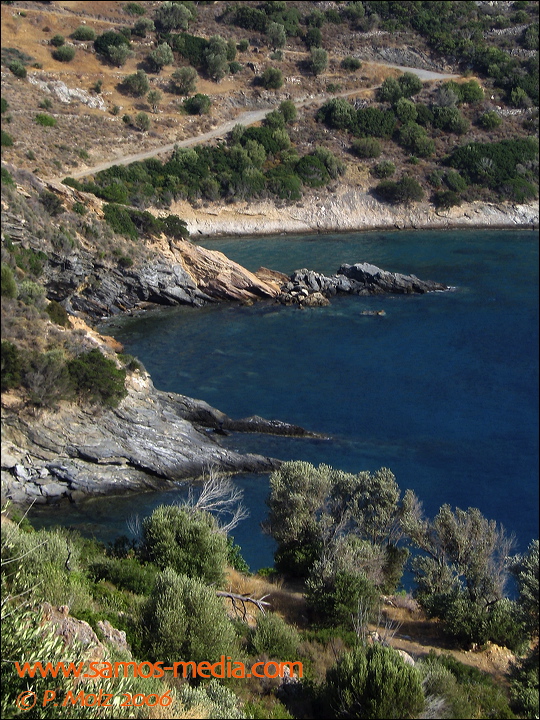samos_taverne_aedw_t_1affb9.jpg