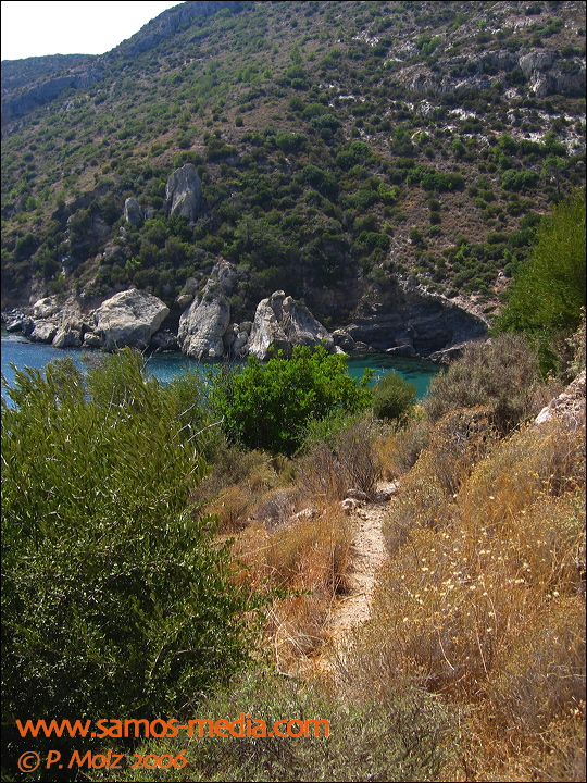 samos_taverne_aedw_t_1affbb.jpg