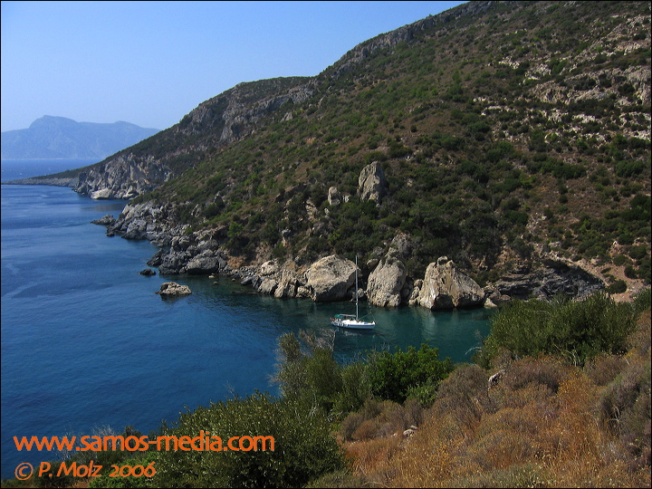 samos_taverne_aedw_t_1affbc.jpg