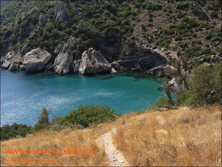 samos_taverne_aedw_t_1affbd.jpg