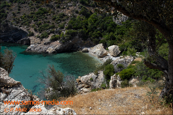 samos_taverne_aedw_t_1affc4.jpg