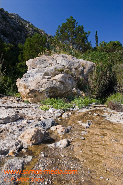 samos_taverne_aedw_t_1affca.jpg