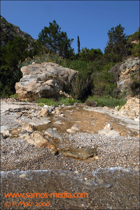 samos_taverne_aedw_t_1affcb.jpg