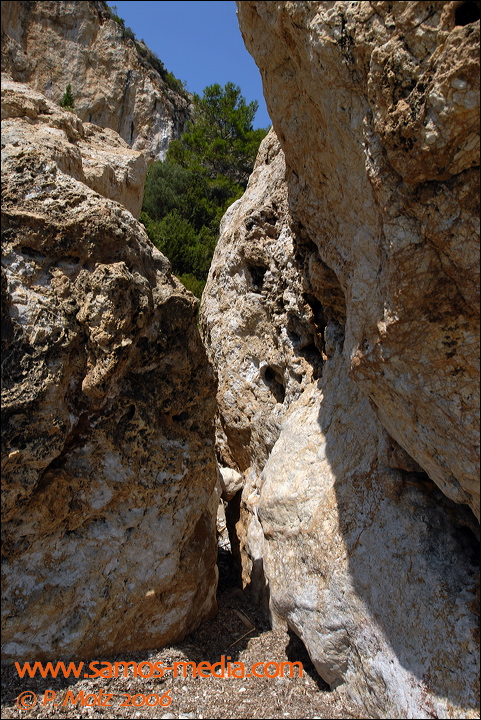 samos_taverne_aedw_t_1affd2.jpg