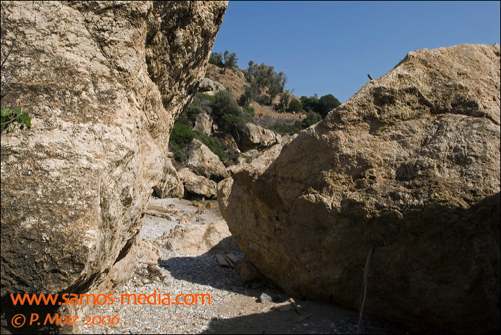 samos_taverne_aedw_t_1affd3.jpg