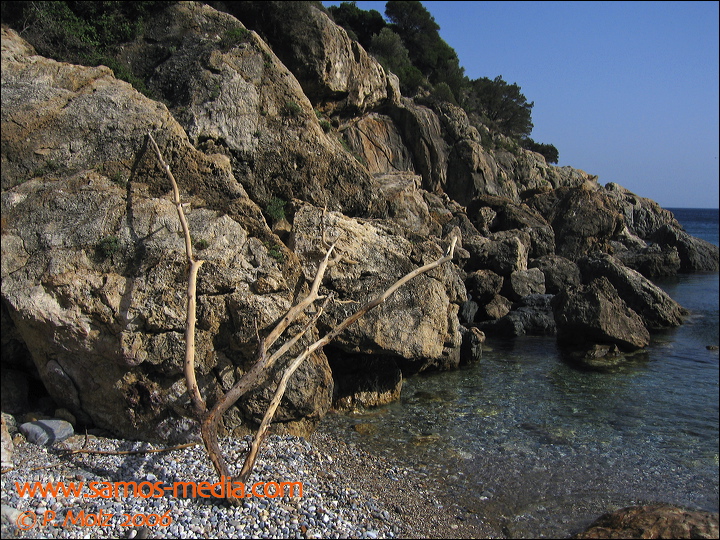 samos_taverne_aedw_t_1affdb.jpg