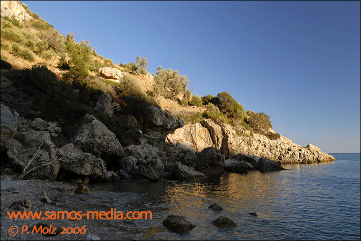 samos_taverne_aedw_t_1affdc.jpg