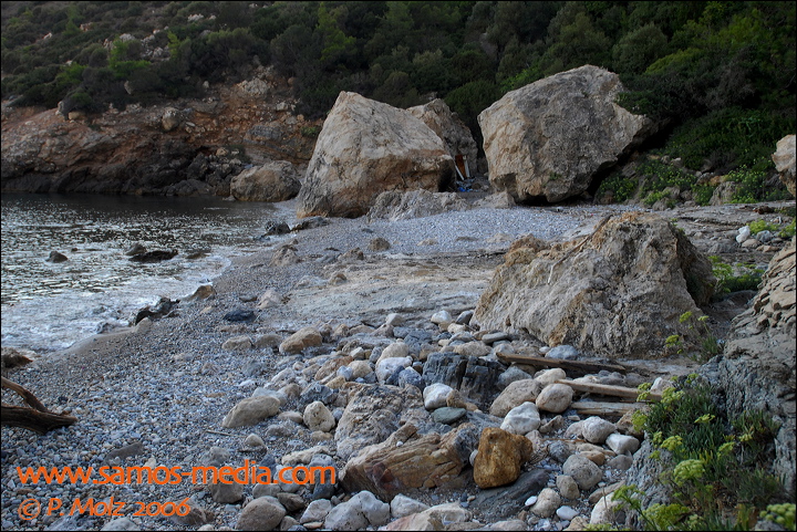 samos_taverne_aedw_t_1affdd.jpg