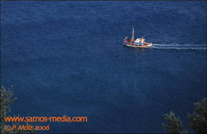 samos_taverne_aedw_t_1affe3.jpg