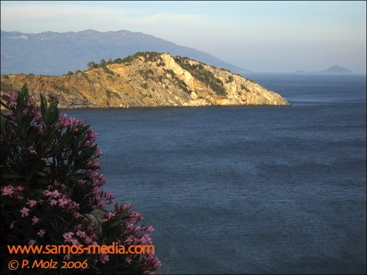 samos_taverne_aedw_t_1affe9.jpg