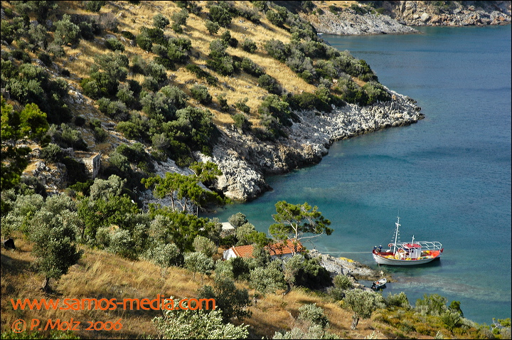 samos_taverne_aedw_t_1b3d4c.jpg