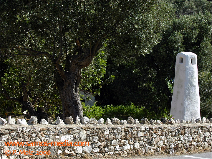 samos_taverne_aedw_te_2106f.jpg