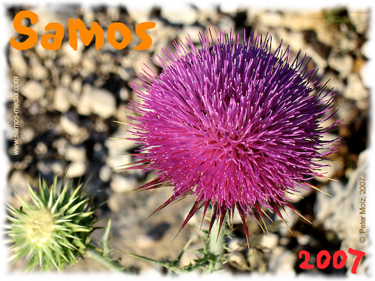 Samos_2007_V4_328