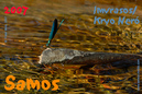 Samos_2007_V4_086